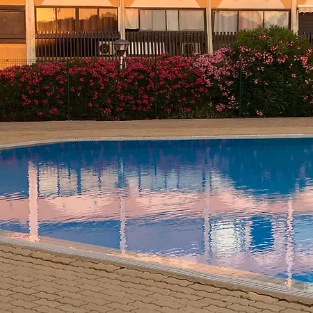 Absolu Chic Naturiste *