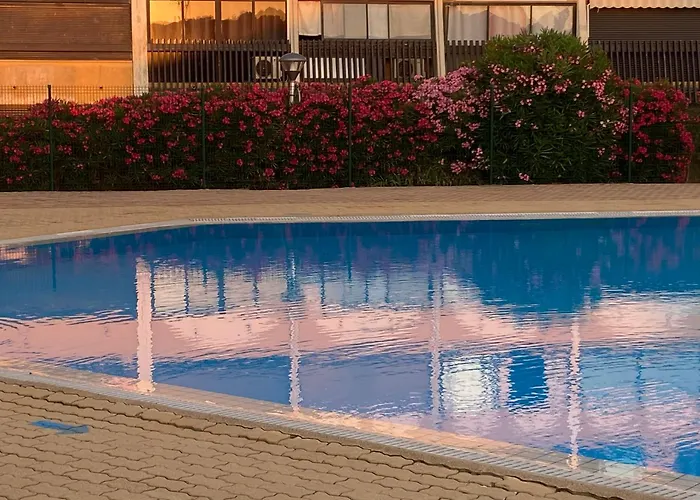 Absolu Chic Naturiste *