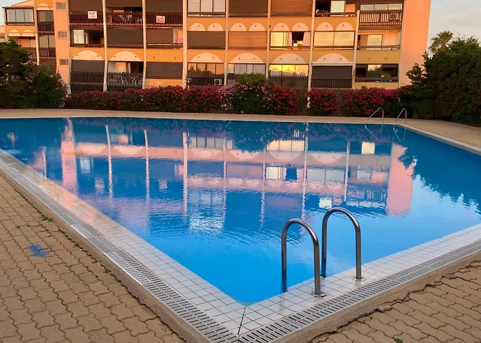 Absolu Chic Naturiste *